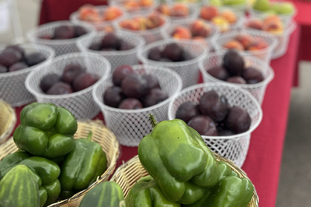 The image pictures produce in baskets